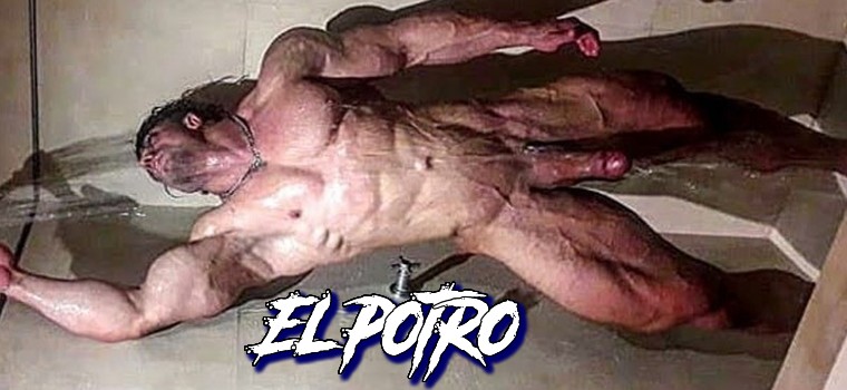 El Potro