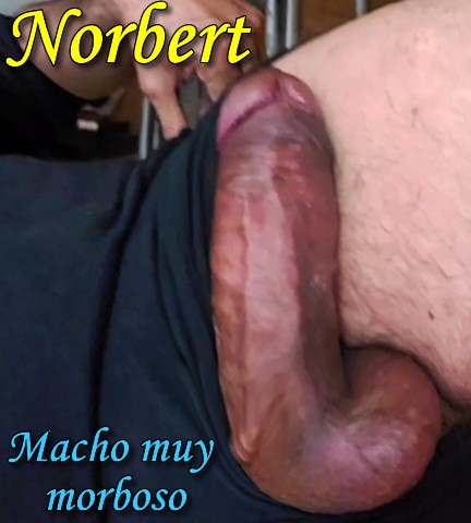Norbert