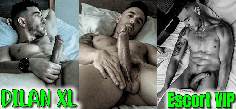 Dilan XL