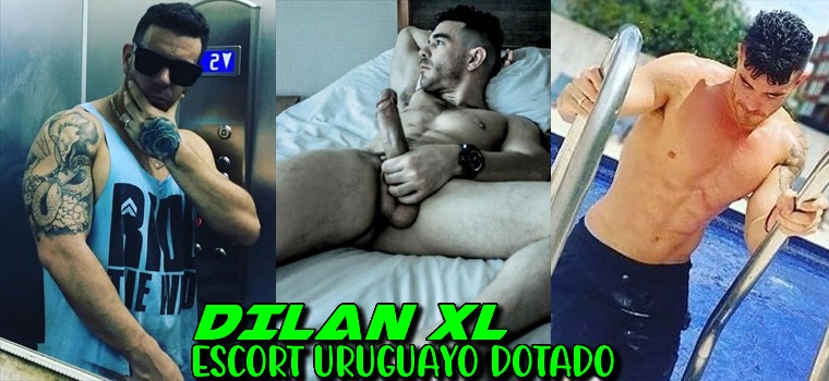 Dilan XL