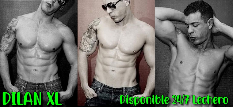 Dilan XL