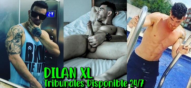 Dilan XL