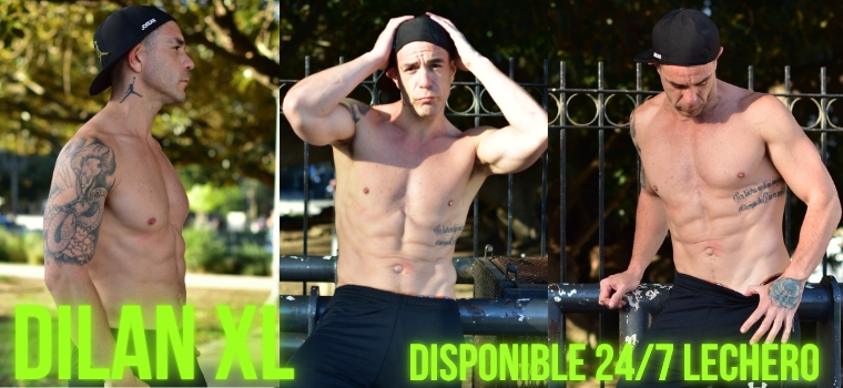 Dilan XL