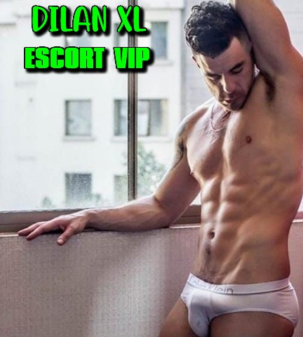 Dilan XL
