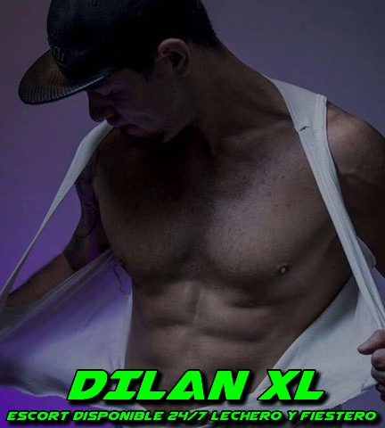 Dilan XL