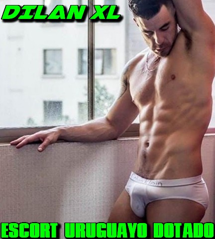 Dilan XL
