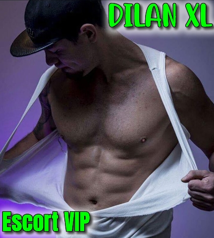 Dilan XL