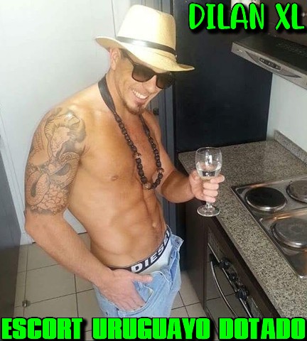 Dilan XL