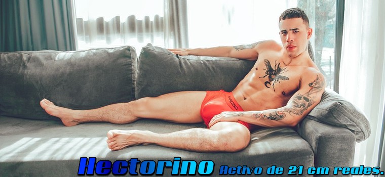Hectorino