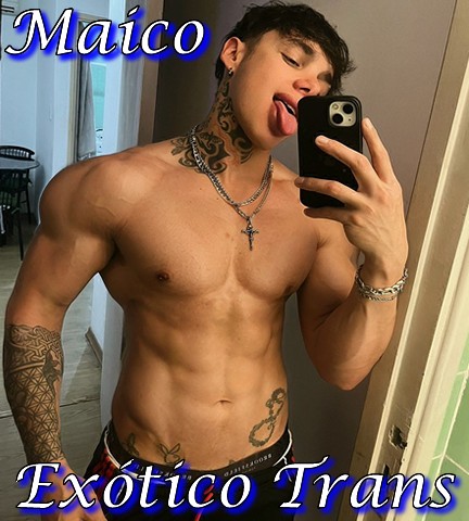 Maico Exotico Trans