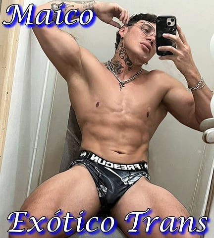 Maico Exotico Trans