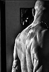 Bad Rabbit Male Escort