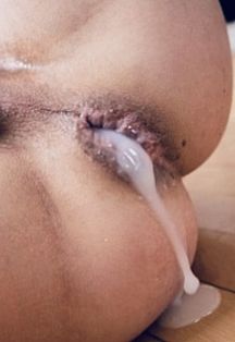 Macho Peludo Escort Masculino