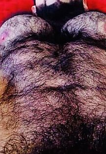 Macho Peludo Escort Masculino
