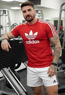 Gino Masajista masculino
