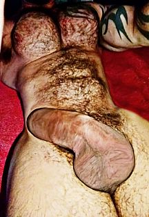 Norbert Escort Masculino