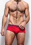 Hairy Wolfman Escort Masculino