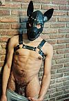 Pup Relax