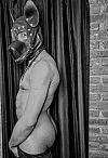 Cachorro Relax Male Masseur