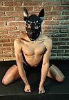 Cachorro Relax Escort Masculino