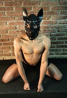 Cachorro Relax Escort Masculino