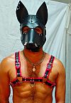 Anubis