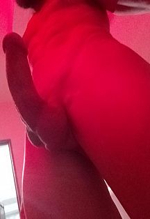 Nick Escort Masculino