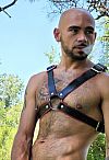 Cerdo Rosarino Escort Masculino