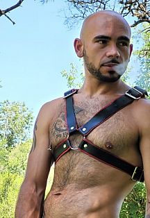 Cerdo Rosarino Escort Masculino