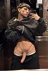 Leoncito Escort Masculino