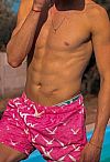 Nacho Escort Masculino