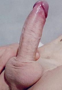 Bellako Escort Masculino